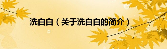 洗白白（關(guān)于洗白白的簡(jiǎn)介）