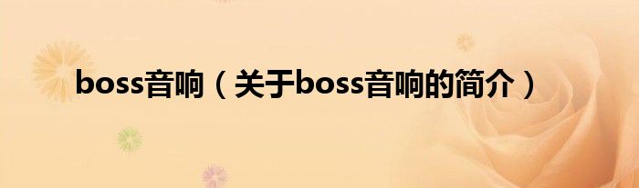 boss音響（關于boss音響的簡介）