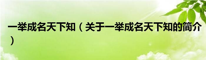 一舉成名天下知（關(guān)于一舉成名天下知的簡介）