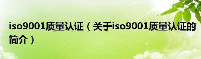 iso9001質(zhì)量認(rèn)證（關(guān)于iso9001質(zhì)量認(rèn)證的簡(jiǎn)介）