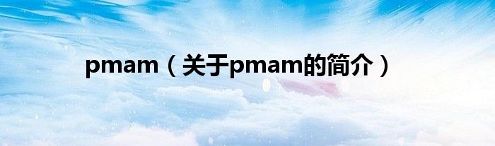 pmam（關于pmam的簡介）