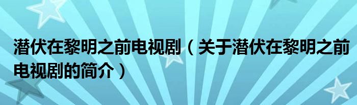 潛伏在黎明之前電視?。P(guān)于潛伏在黎明之前電視劇的簡(jiǎn)介）