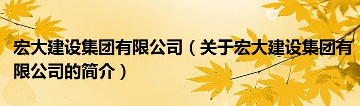 宏大建設(shè)集團(tuán)有限公司（關(guān)于宏大建設(shè)集團(tuán)有限公司的簡(jiǎn)介）