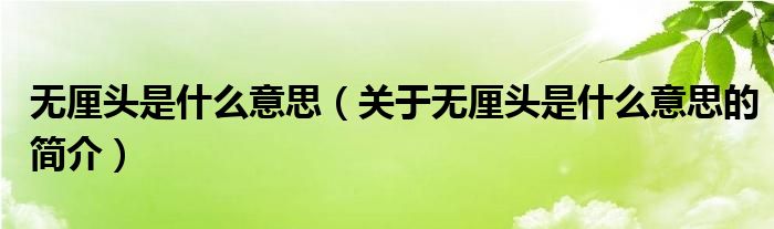 無厘頭是什么意思（關于無厘頭是什么意思的簡介）