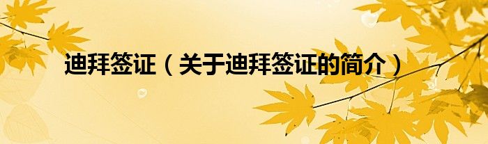 迪拜簽證（關(guān)于迪拜簽證的簡(jiǎn)介）