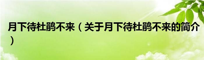 月下待杜鵑不來（關(guān)于月下待杜鵑不來的簡(jiǎn)介）