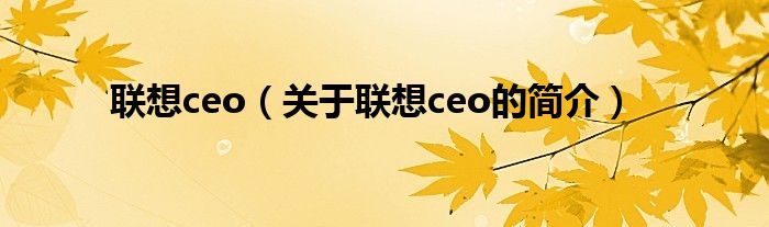 聯(lián)想ceo（關(guān)于聯(lián)想ceo的簡(jiǎn)介）