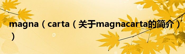 magna（carta（關(guān)于magnacarta的簡(jiǎn)介））