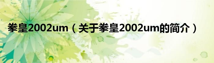 拳皇2002um（關于拳皇2002um的簡介）