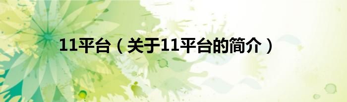 11平臺(tái)（關(guān)于11平臺(tái)的簡(jiǎn)介）