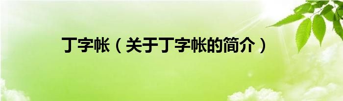 丁字帳（關(guān)于丁字帳的簡(jiǎn)介）