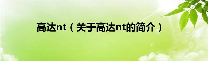 高達(dá)nt（關(guān)于高達(dá)nt的簡(jiǎn)介）