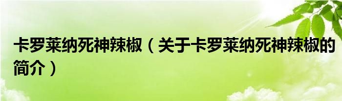 卡羅萊納死神辣椒（關(guān)于卡羅萊納死神辣椒的簡介）