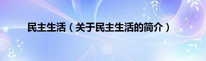 民主生活（關(guān)于民主生活的簡(jiǎn)介）