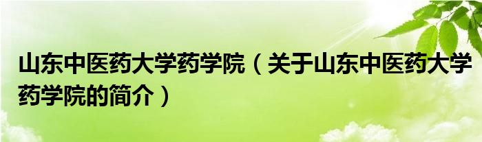 山東中醫(yī)藥大學藥學院（關于山東中醫(yī)藥大學藥學院的簡介）