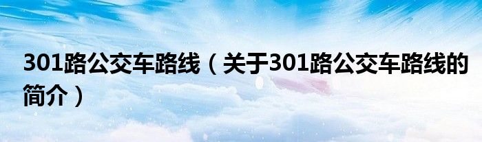 301路公交車路線（關于301路公交車路線的簡介）