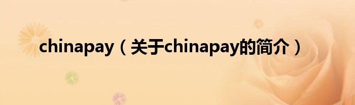 chinapay（關(guān)于chinapay的簡(jiǎn)介）