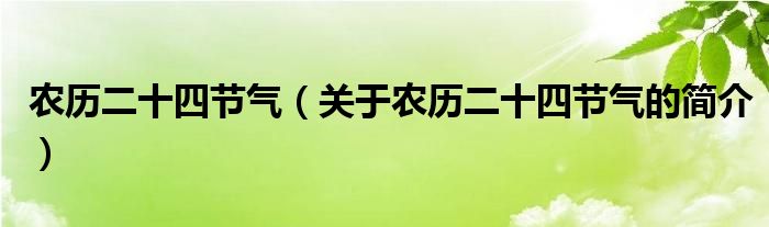 農(nóng)歷二十四節(jié)氣（關(guān)于農(nóng)歷二十四節(jié)氣的簡(jiǎn)介）