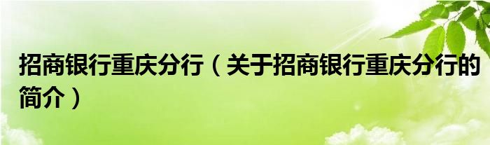 招商銀行重慶分行（關(guān)于招商銀行重慶分行的簡介）