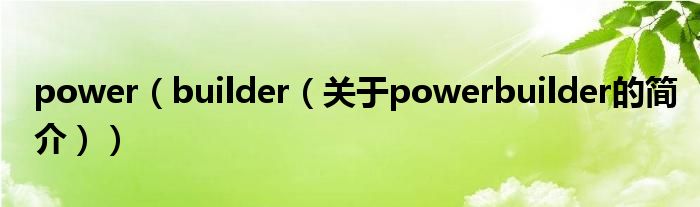 power（builder（關于powerbuilder的簡介））