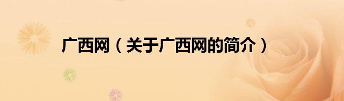 廣西網(wǎng)（關(guān)于廣西網(wǎng)的簡介）