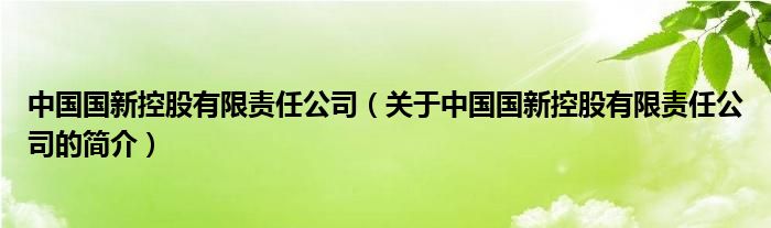 中國(guó)國(guó)新控股有限責(zé)任公司（關(guān)于中國(guó)國(guó)新控股有限責(zé)任公司的簡(jiǎn)介）