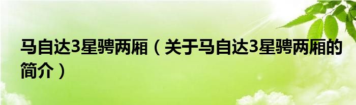 馬自達(dá)3星騁兩廂（關(guān)于馬自達(dá)3星騁兩廂的簡(jiǎn)介）