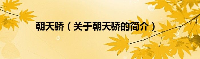 朝天驕（關(guān)于朝天驕的簡(jiǎn)介）