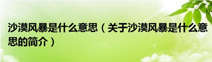 沙漠風暴是什么意思（關(guān)于沙漠風暴是什么意思的簡介）