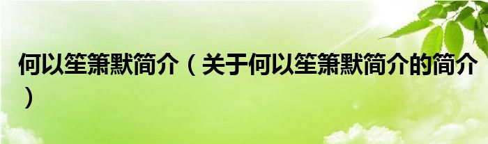 何以笙簫默簡介（關于何以笙簫默簡介的簡介）