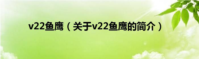 v22魚鷹（關(guān)于v22魚鷹的簡(jiǎn)介）