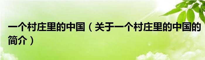 一個村莊里的中國（關(guān)于一個村莊里的中國的簡介）