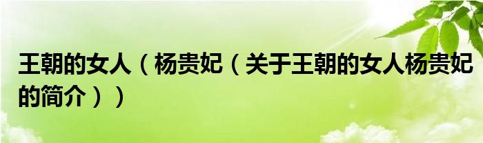 王朝的女人（楊貴妃（關(guān)于王朝的女人楊貴妃的簡(jiǎn)介））