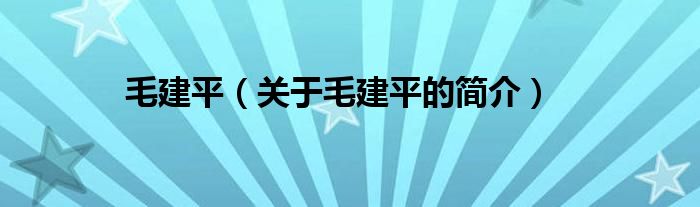 毛建平（關于毛建平的簡介）