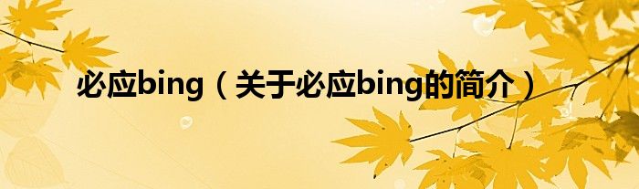 必應(yīng)bing（關(guān)于必應(yīng)bing的簡(jiǎn)介）