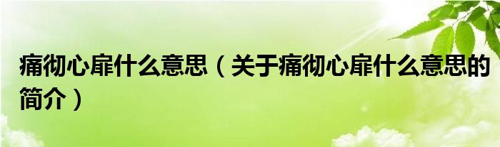 痛徹心扉什么意思（關(guān)于痛徹心扉什么意思的簡(jiǎn)介）