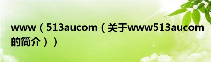 www（513aucom（關于www513aucom的簡介））