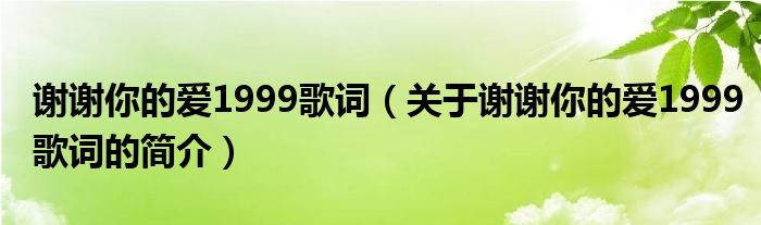 謝謝你的愛1999歌詞（關(guān)于謝謝你的愛1999歌詞的簡介）