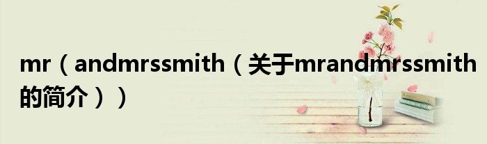 mr（andmrssmith（關(guān)于mrandmrssmith的簡(jiǎn)介））