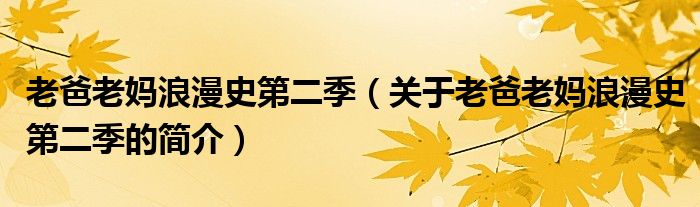 老爸老媽浪漫史第二季（關(guān)于老爸老媽浪漫史第二季的簡介）