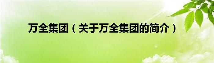 萬全集團(tuán)（關(guān)于萬全集團(tuán)的簡介）