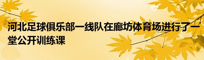 河北足球俱樂部一線隊(duì)在廊坊體育場(chǎng)進(jìn)行了一堂公開訓(xùn)練課