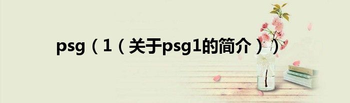 psg（1（關(guān)于psg1的簡介））