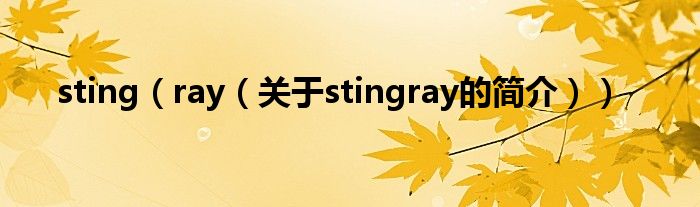 sting（ray（關(guān)于stingray的簡介））