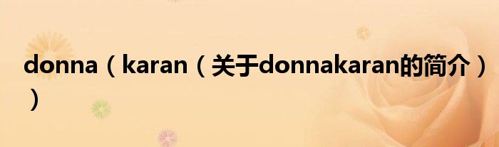 donna（karan（關(guān)于donnakaran的簡(jiǎn)介））