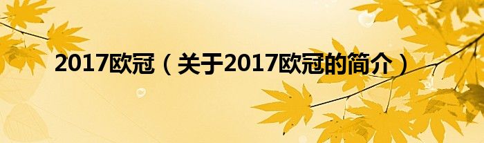 2017歐冠（關(guān)于2017歐冠的簡(jiǎn)介）