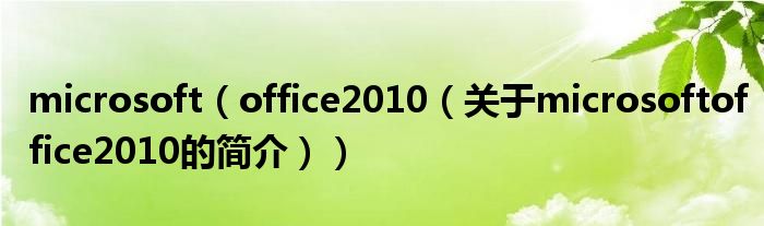 microsoft（office2010（關于microsoftoffice2010的簡介））