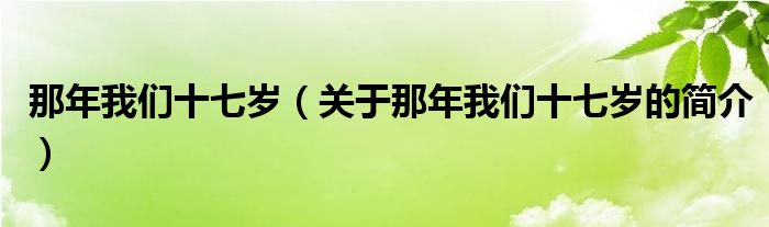 那年我們十七歲（關(guān)于那年我們十七歲的簡(jiǎn)介）