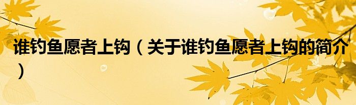 誰釣魚愿者上鉤（關(guān)于誰釣魚愿者上鉤的簡介）