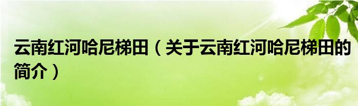 云南紅河哈尼梯田（關(guān)于云南紅河哈尼梯田的簡(jiǎn)介）